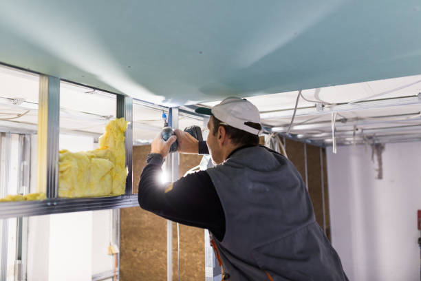 Best Geographic-Specific Insulation Services in Frederick, OK